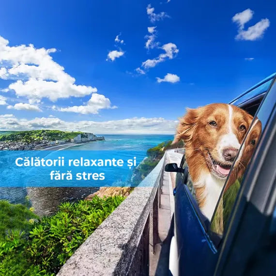 CARIPET - calatorii relaxante si fara stres